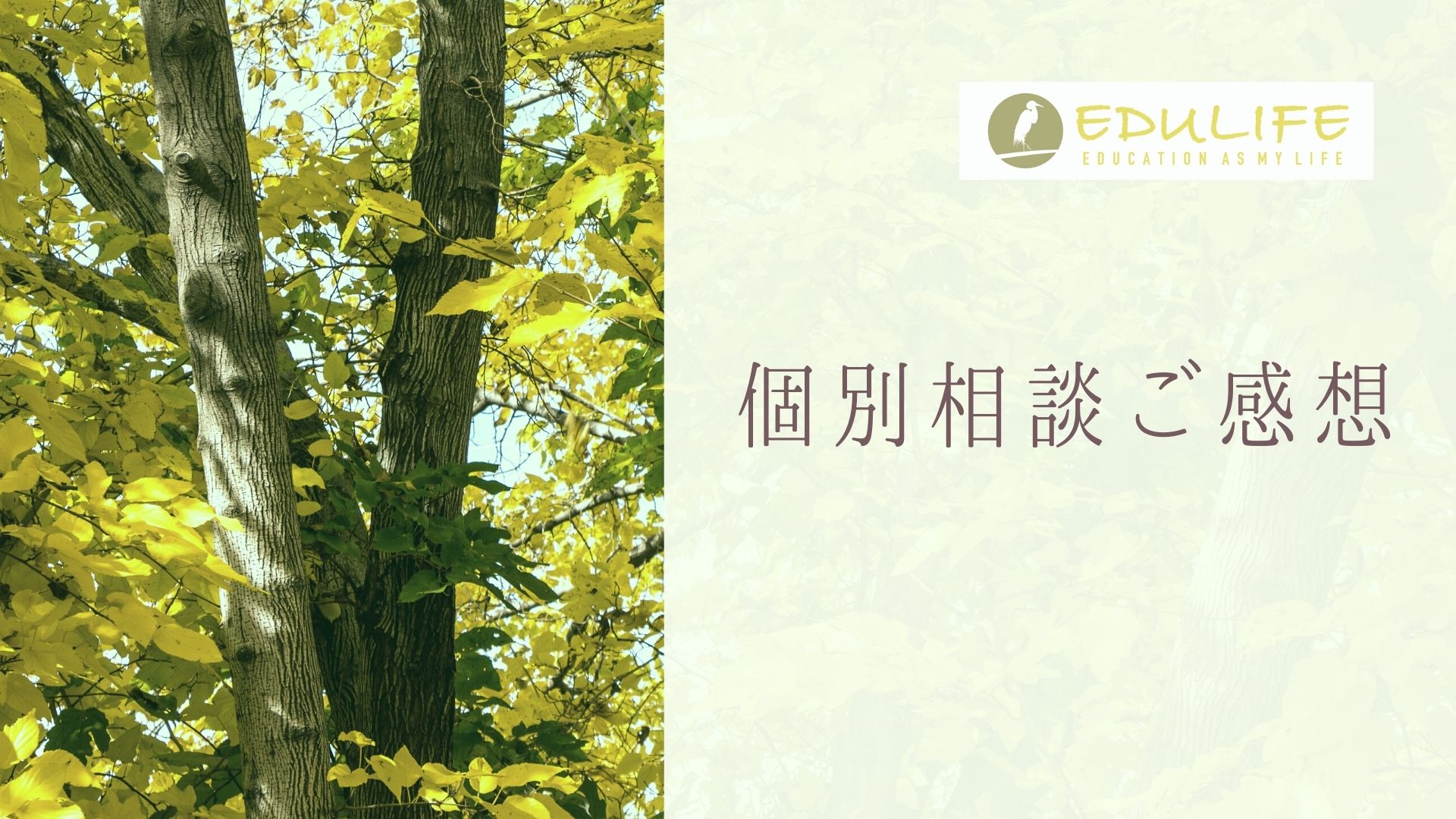 個別相談ご感想